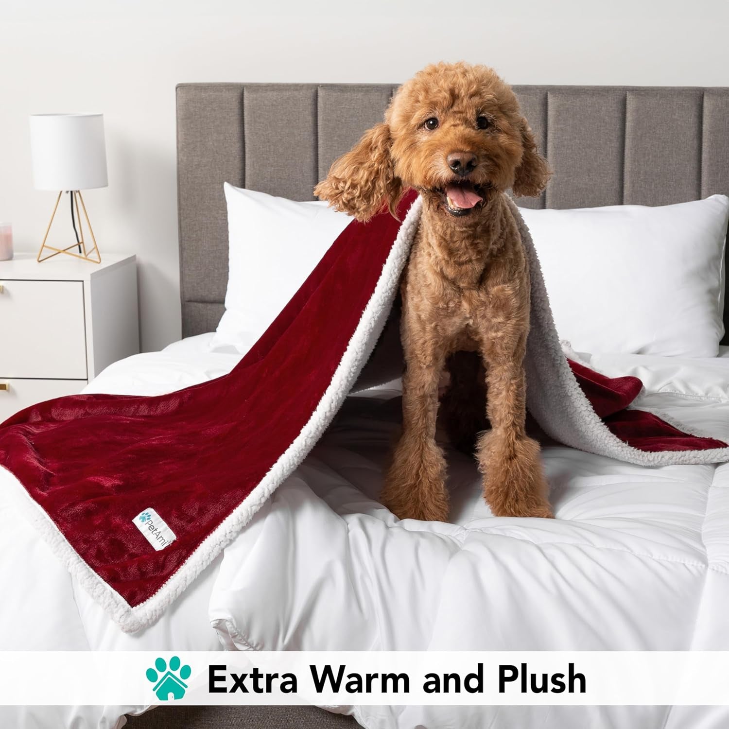 Dog Blanket for Small Medium Dogs, Pet Bed Blanket Cat Puppy Kitten, Fleece Furniture Couch Cover Protector Sofa Car, Soft Sherpa Dog Throw Plush Reversible Washable, Mini 29X40 Maroon Red